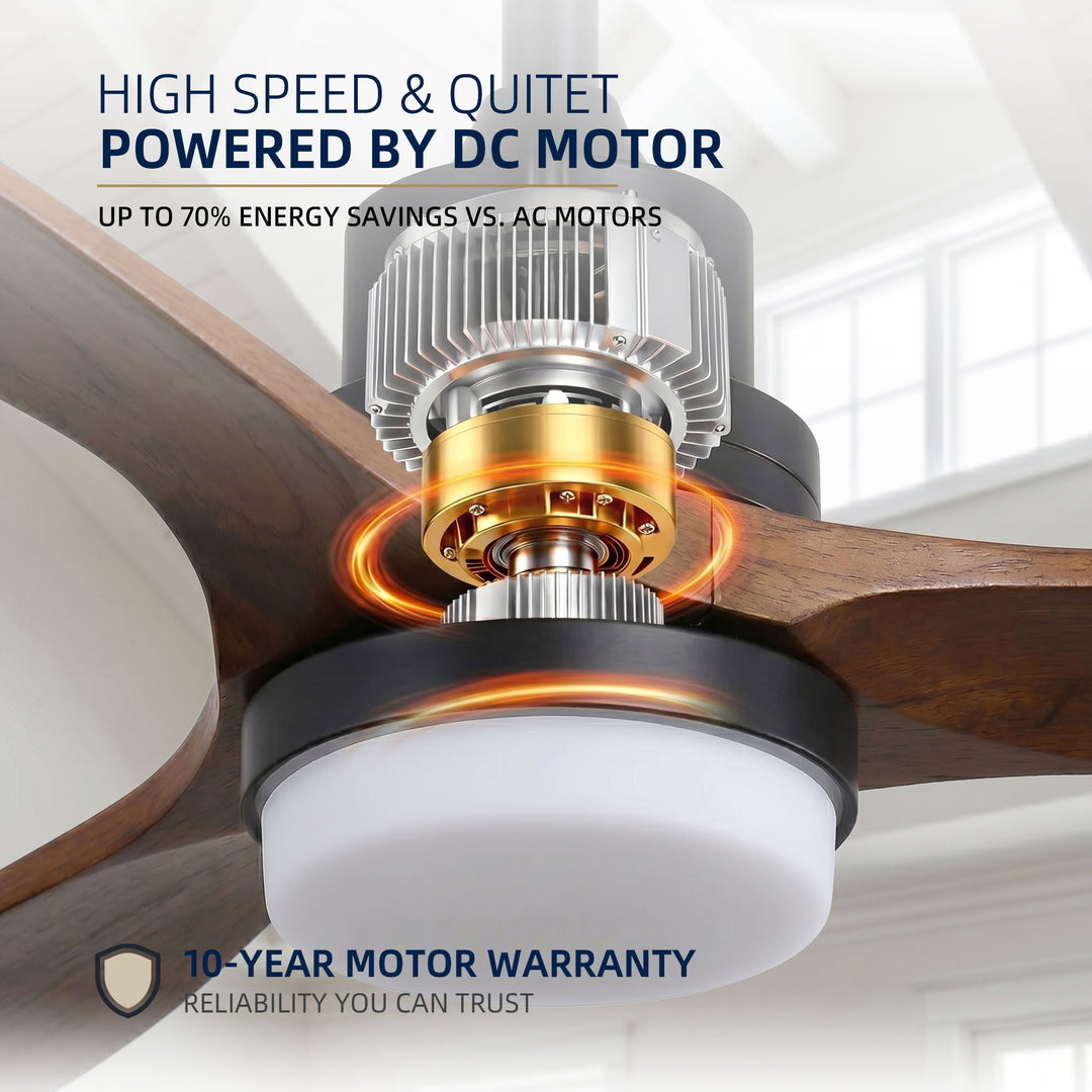 VEYRA 60-inch Modern Ceiling Fan with Light, 3 Solid Wood Blades, DC Motor, 6 Speeds, Downrod Mount for Bedroom, Living Room