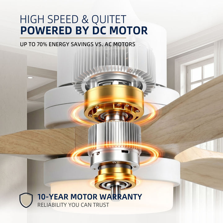 VEYRA 52-inch Modern Ceiling Fan with Light, 3 Solid Wood Blades, DC Motor, 6 Speeds, Downrod Mount for Bedroom, Living Room
