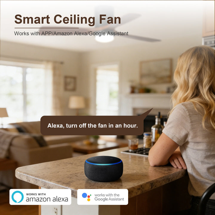 026ec73d5b4ca34ce498a7d43b224566 - VEYRA