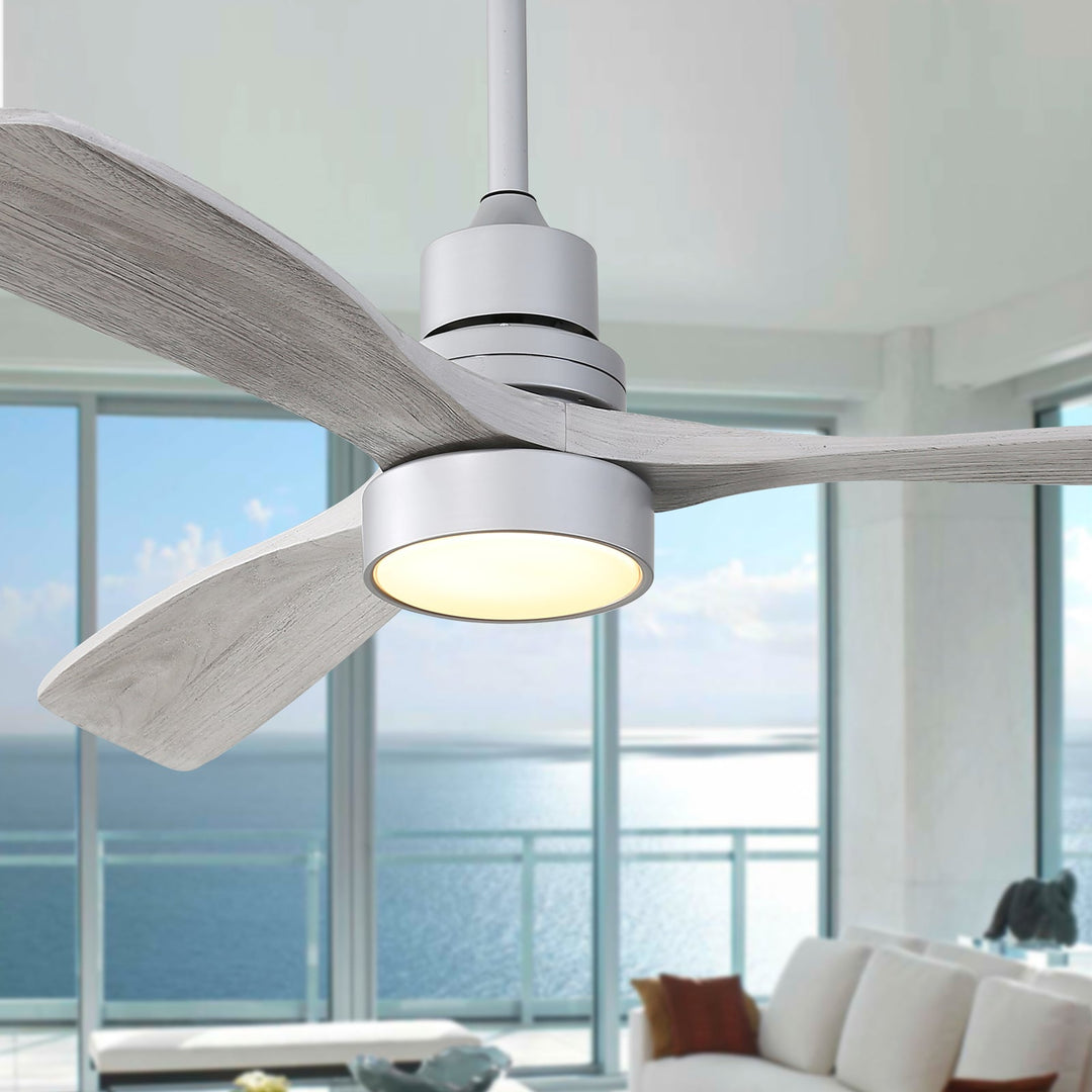 1_840d668e-c06b-4d74-bf41-1e4853f0d939 - VEYRA