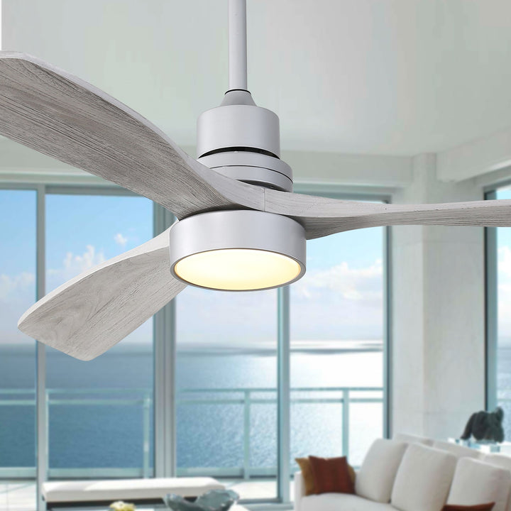 1_840d668e-c06b-4d74-bf41-1e4853f0d939 - VEYRA