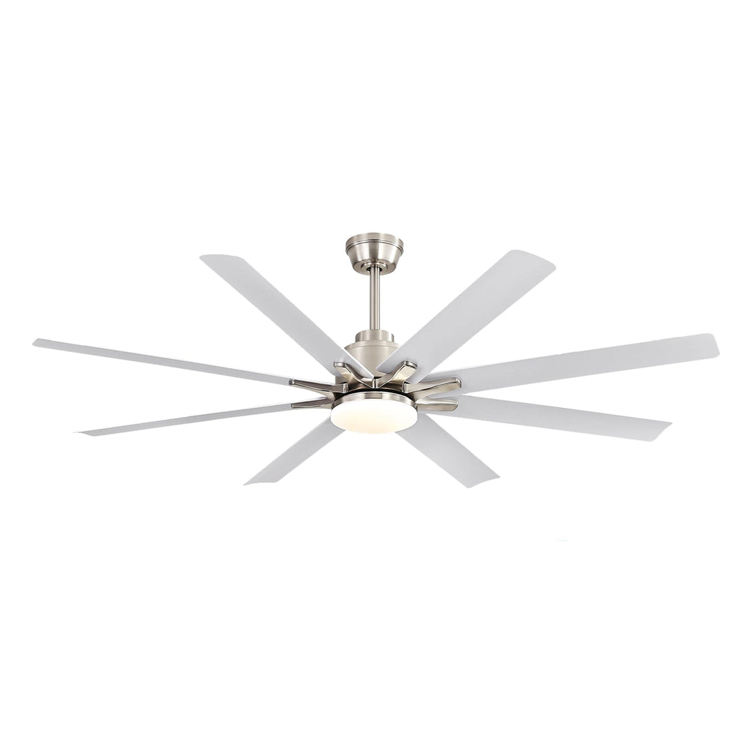 1_dbdd55d7-f222-429b-85c2-f41ad1ec4e6c - VEYRA