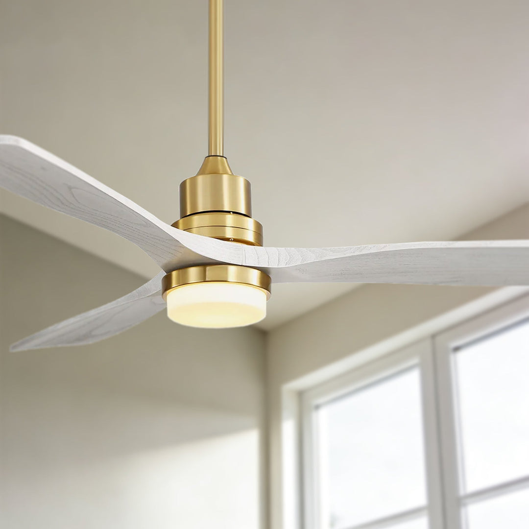 298f230f8e73f53af28db95f056970e5_2cee3a67-5822-4378-b33a-8cd0e9fcba78 - VEYRA