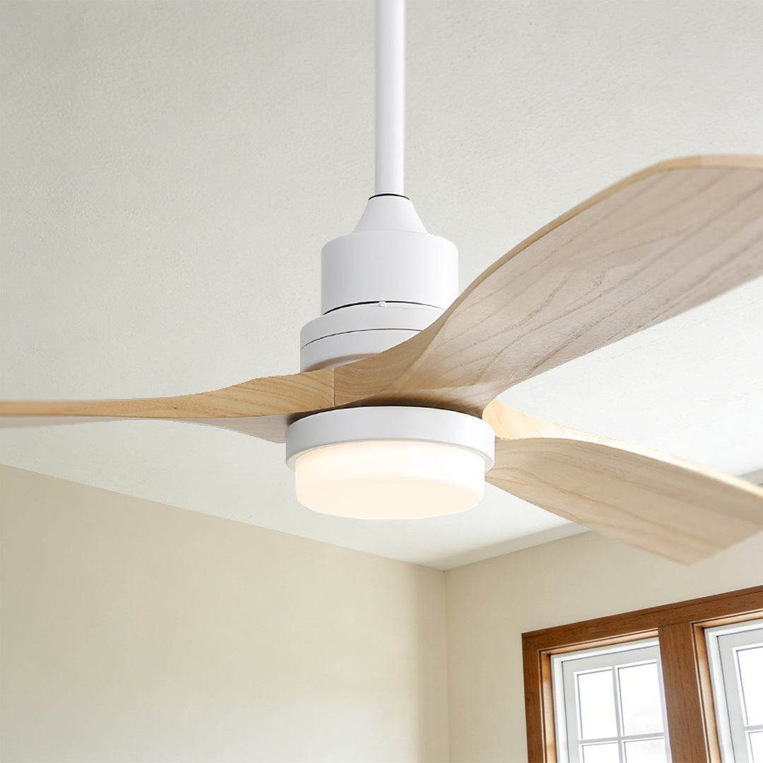 298f230f8e73f53af28db95f056970e5_39955624-5d7d-46e5-88fd-030bff0c8471 - VEYRA