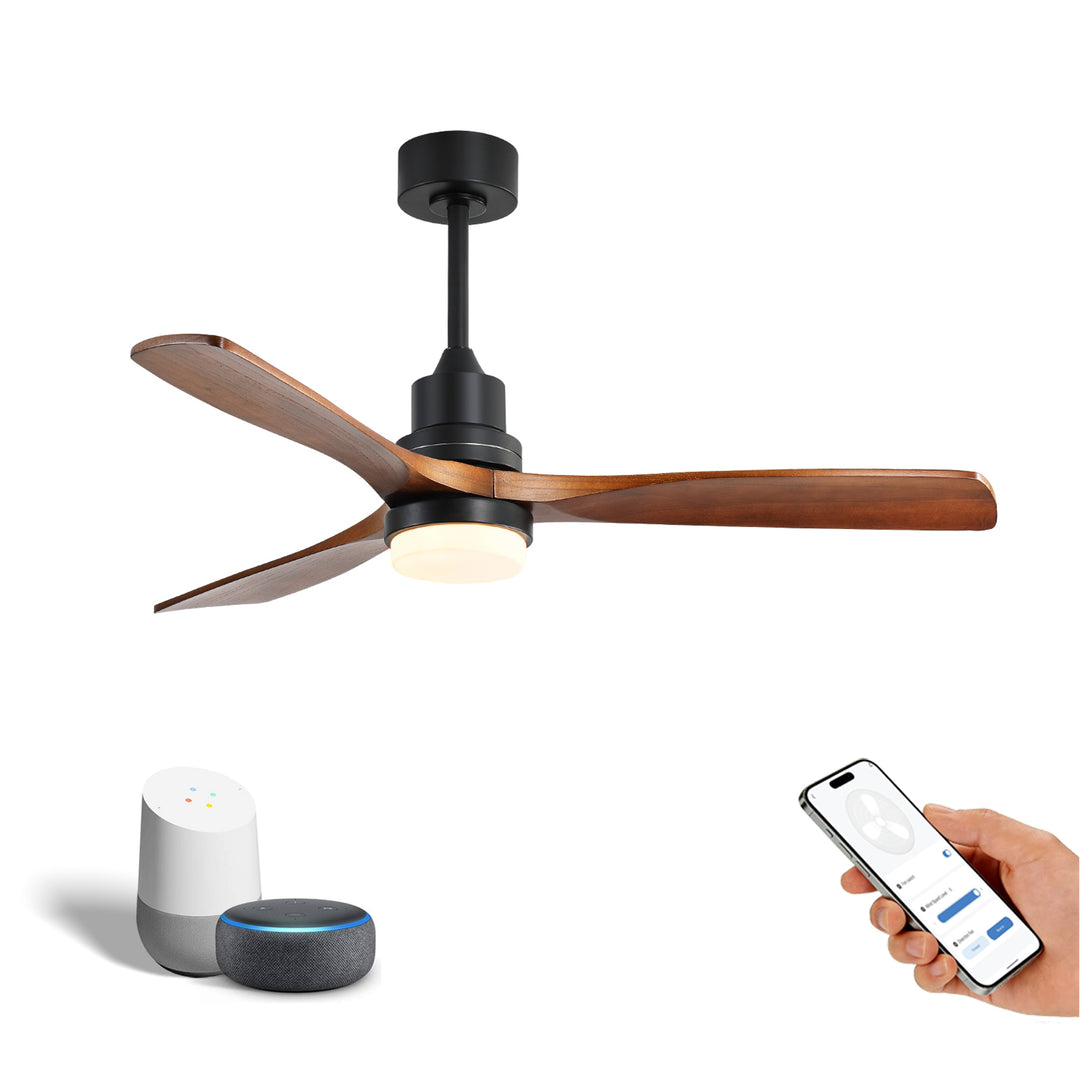 VEYRA 52-inch Modern Ceiling Fan with Light, 3 Solid Wood Blades, DC Motor, 6 Speeds, Downrod Mount for Bedroom, Living Room
