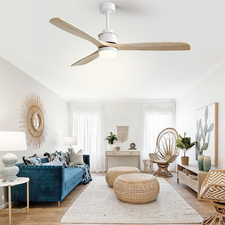 6_c4f59662-083d-4918-806a-09e1536a7e31 - VEYRA