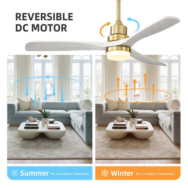 VEYRA 52-inch Modern Ceiling Fan with Light, 3 Solid Wood Blades, DC Motor, 6 Speeds, Downrod Mount for Bedroom, Living Room