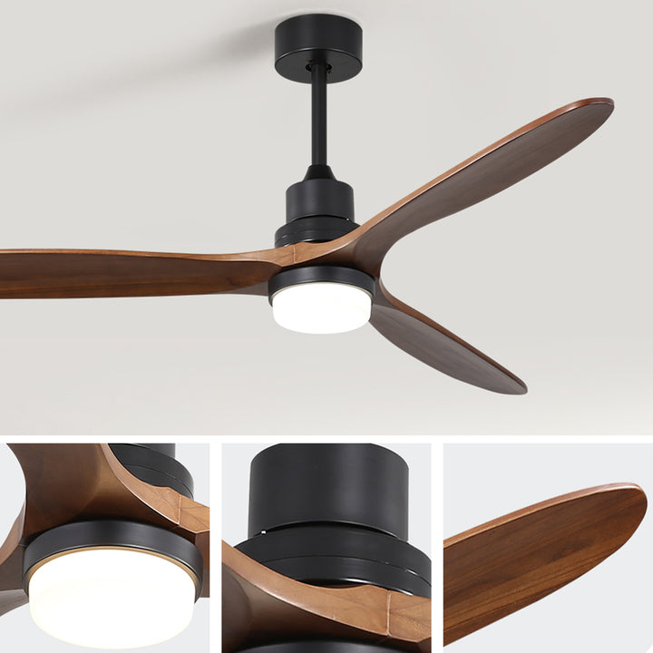 VEYRA 60-inch Modern Ceiling Fan with Light, 3 Solid Wood Blades, DC Motor, 6 Speeds, Downrod Mount for Bedroom, Living Room