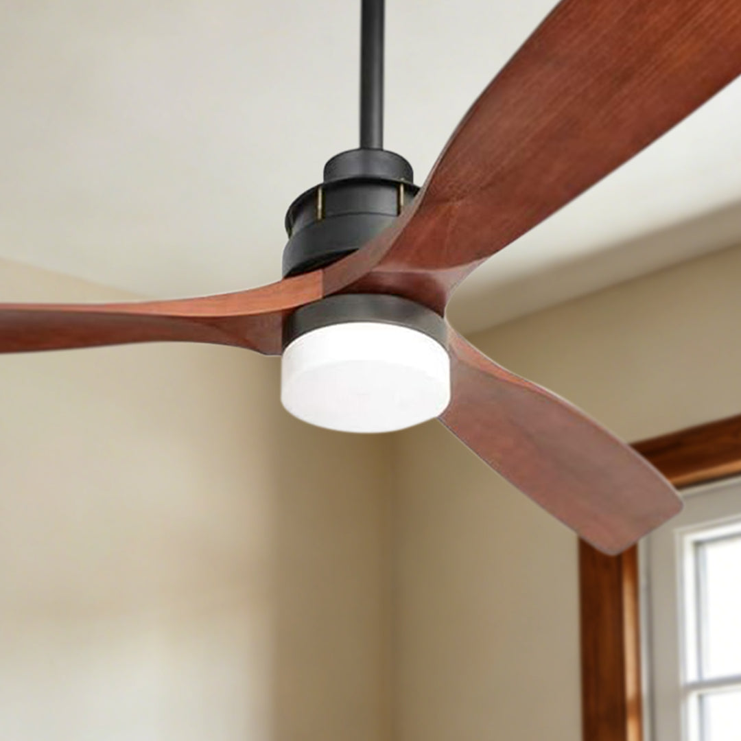 VE-CF12-BK-60WAL - VEYRA