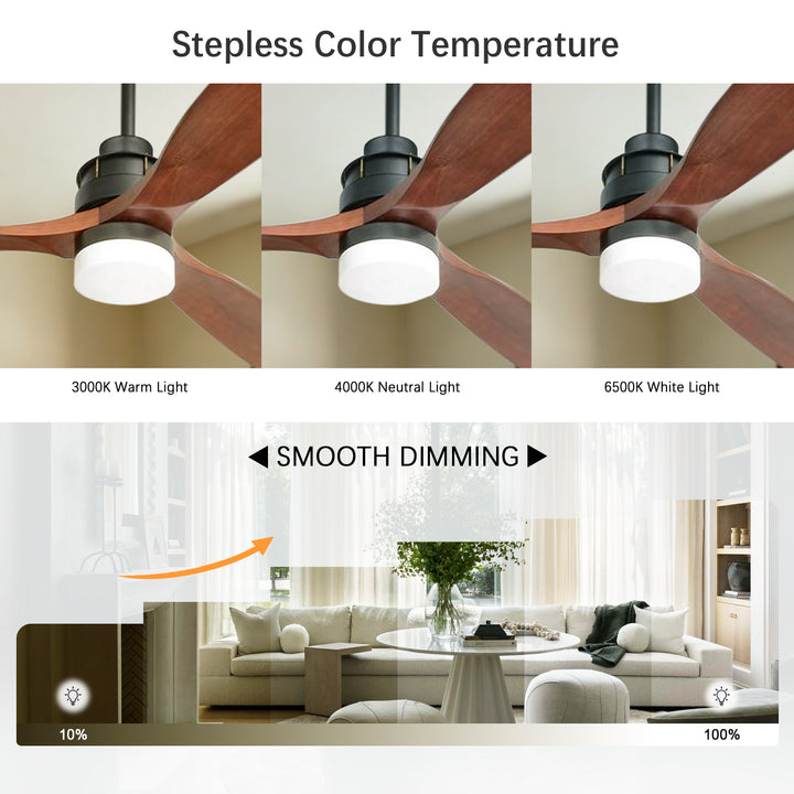 VEYRA 60-inch Modern Ceiling Fan with Light, 3 Solid Wood Blades, DC Motor, 6 Speeds, Downrod Mount for Bedroom, Living Room