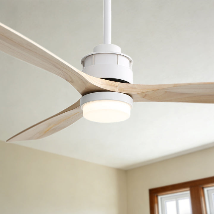 VE-CF12-WH-60OAK - VEYRA