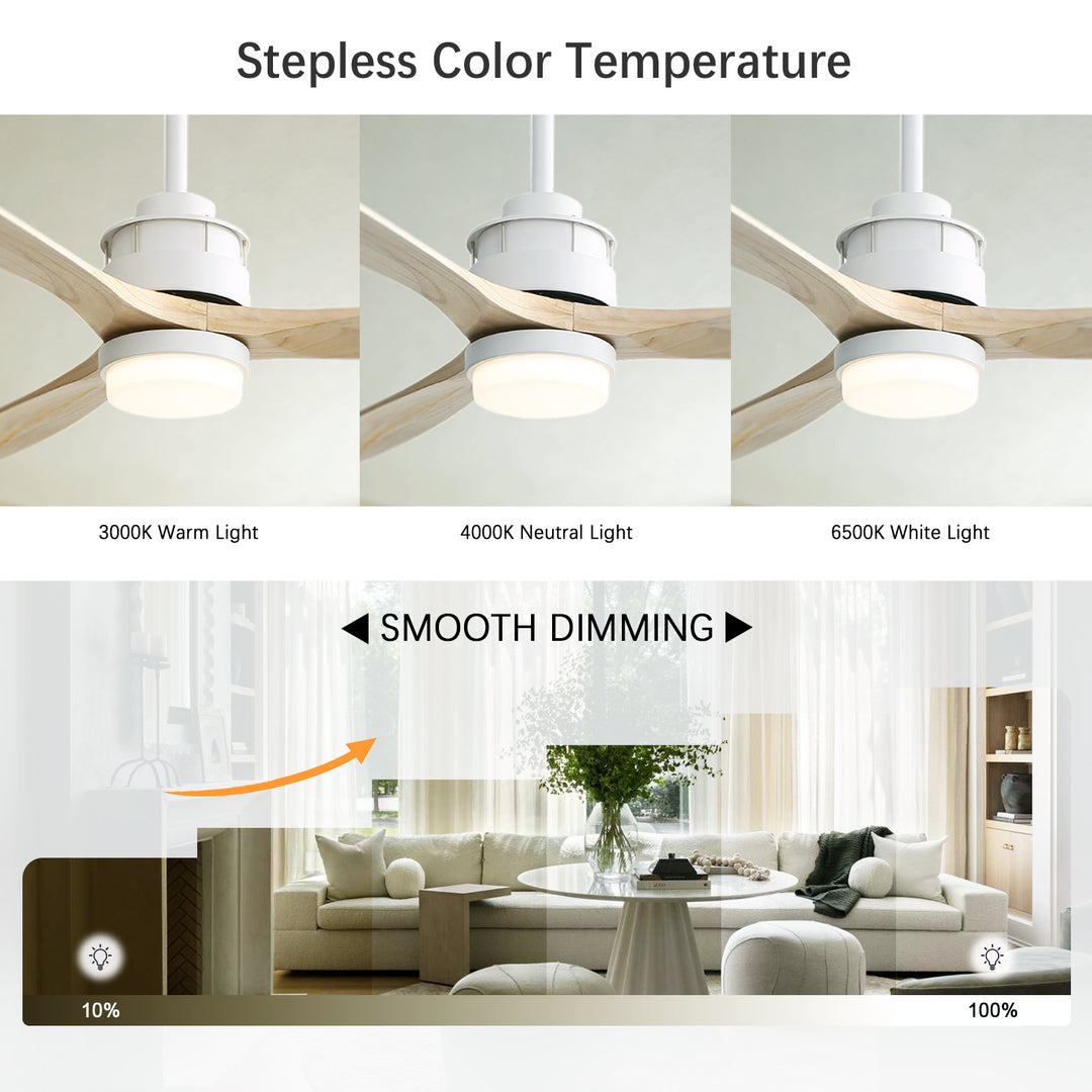 VEYRA 60-inch Modern Ceiling Fan with Light, 3 Solid Wood Blades, DC Motor, 6 Speeds, Downrod Mount for Bedroom, Living Room