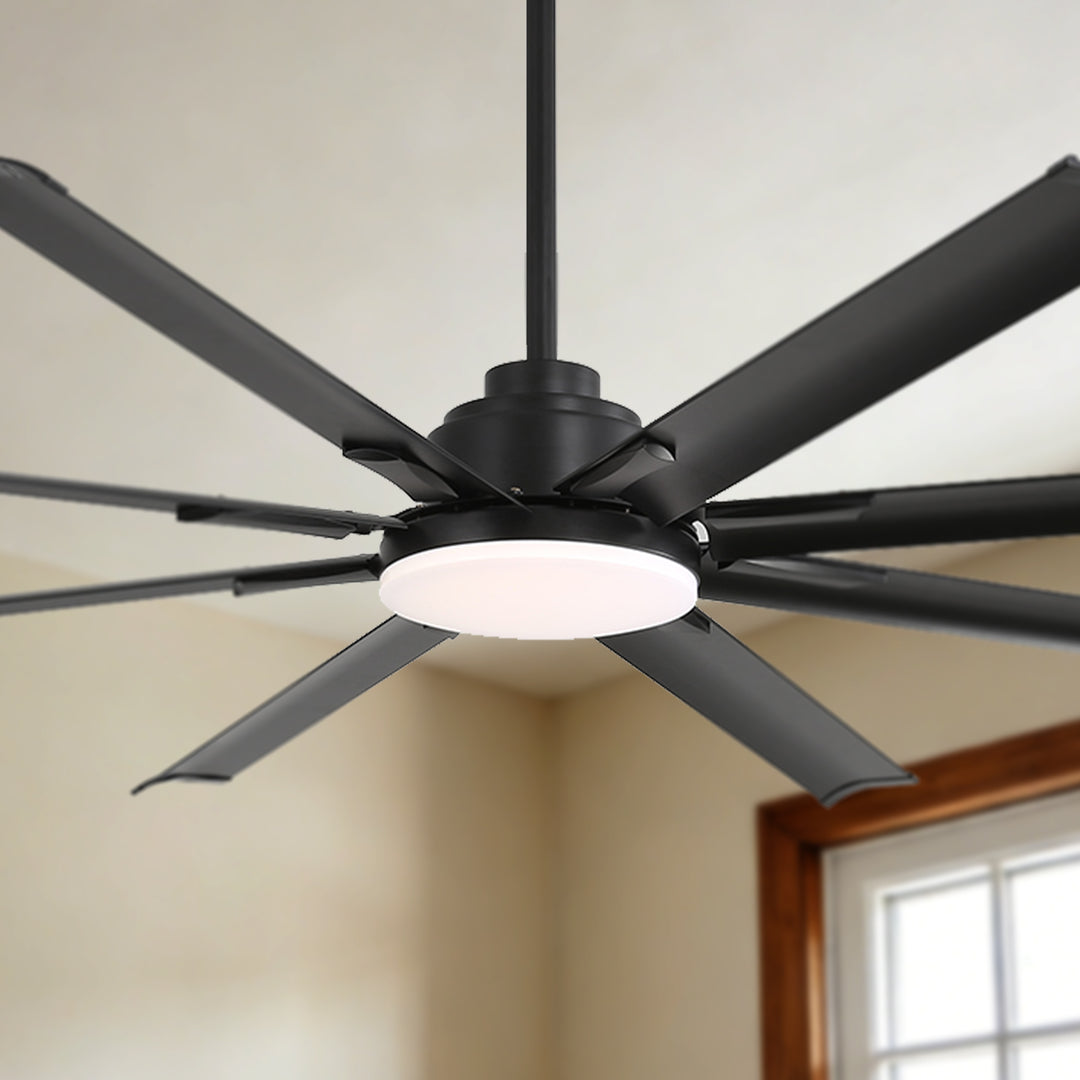 VE-CF15-BK-72BK-A - VEYRA