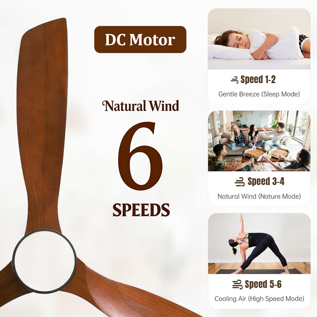 VEYRA 60-inch Modern Ceiling Fan with Light, 3 Solid Wood Blades, DC Motor, 6 Speeds, Downrod Mount for Bedroom, Living Room